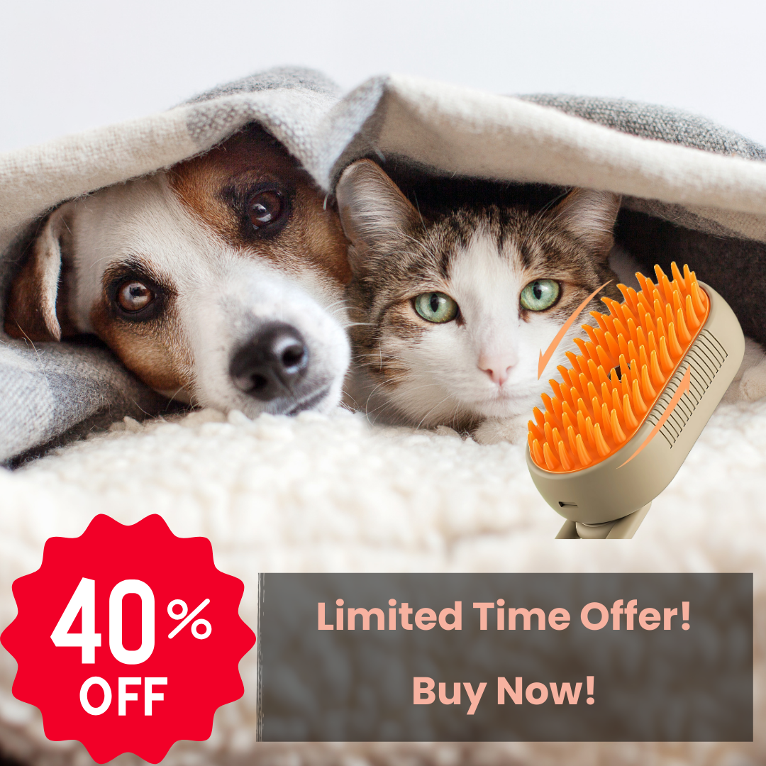 Seurico Defur Pet Comb with Spray