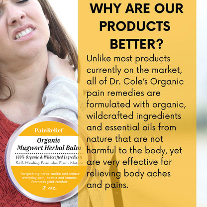 Organic Mugwort Herbal Balm